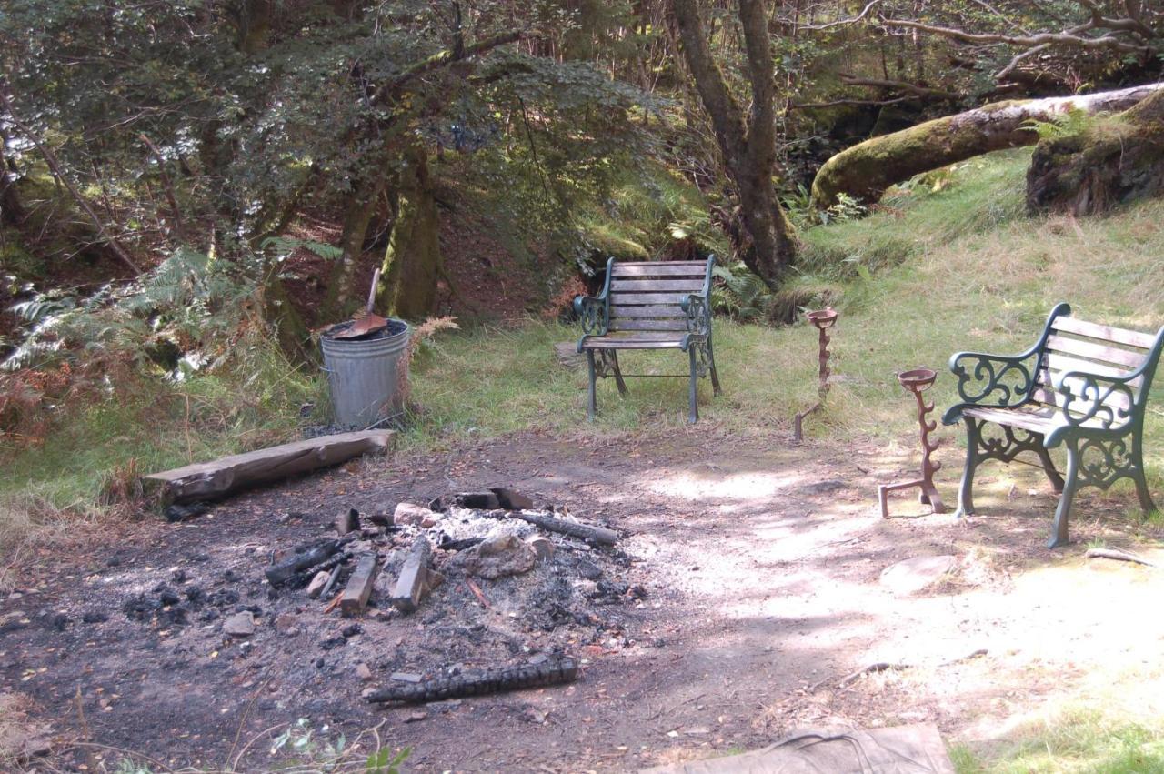 Cosy Rowan Woodland No1 Killin