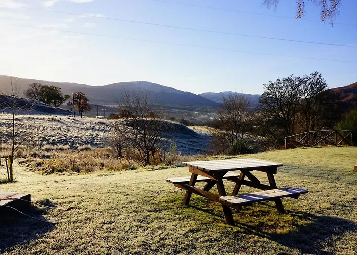 Cosy Rowan Woodland Lodge No1