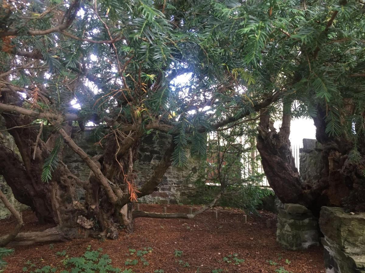 Cosy Rowan Woodland No1 * Killin