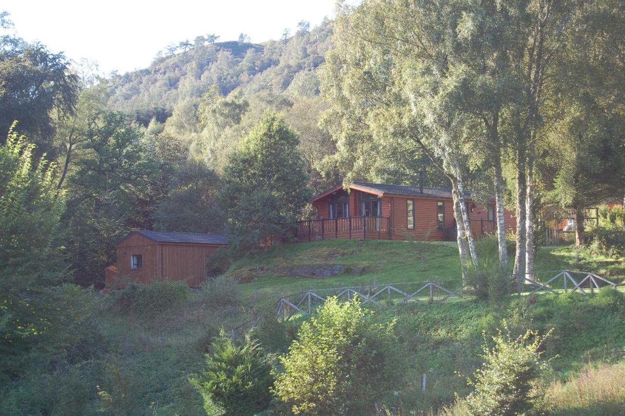Lodge Cosy Rowan Woodland No1 Killin
