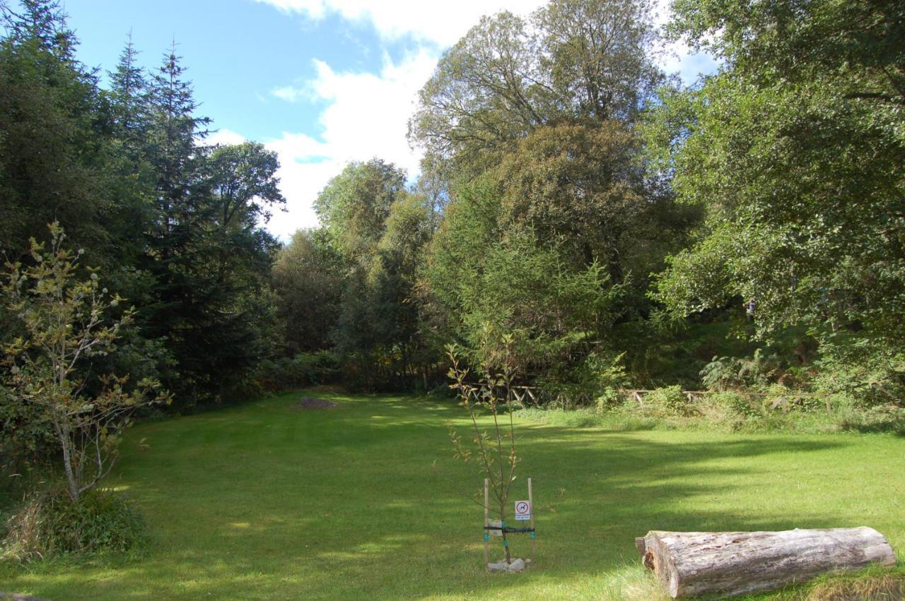 Cosy Rowan Woodland No1 Lodge